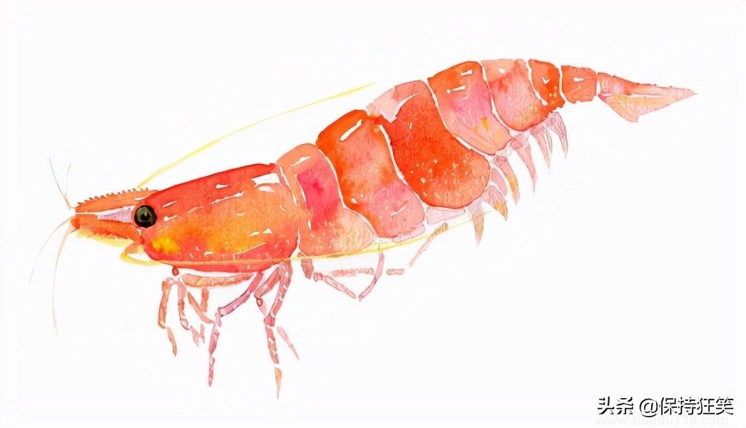 臺灣有哪些特產(臺灣特產排行榜前十名)(圖11) 臺灣十大特產排行榜 臺灣特產什么最出名 來臺旅游值得帶的伴手禮