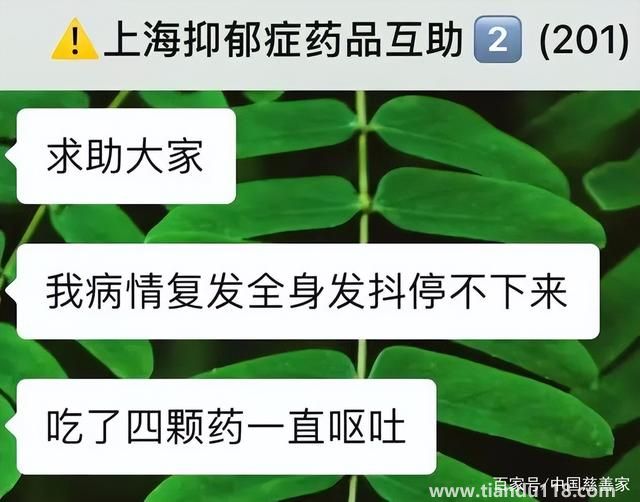 上海抑郁癥患者找藥群解散（在四月最后一天解散了）(圖2)