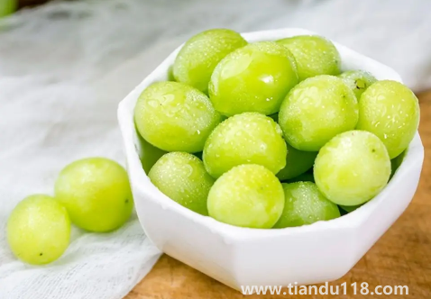 陽光玫瑰葡萄和晴王葡萄是一個(gè)品種嗎3