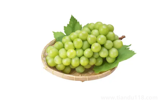 陽光玫瑰葡萄和晴王葡萄是一個(gè)品種嗎2