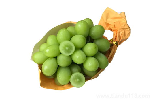 陽光玫瑰葡萄和晴王葡萄哪個(gè)價(jià)格貴2