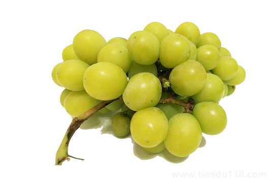 陽光玫瑰葡萄和晴王葡萄哪個(gè)價(jià)格貴3