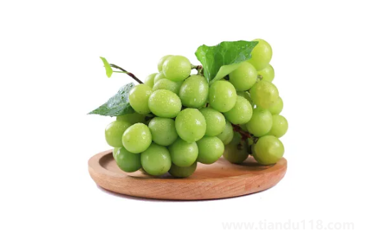 陽(yáng)光玫瑰葡萄是熱性還是涼性2