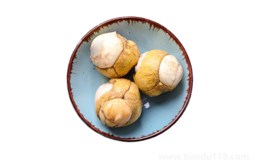活珠子不能和什么東西同時(shí)吃1