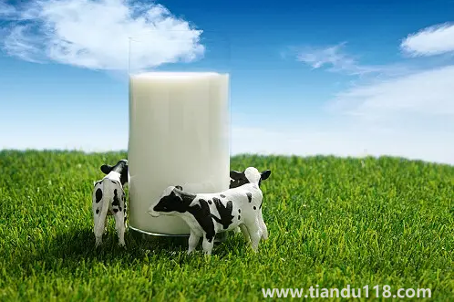 牛初乳的功效與作用及副作用2