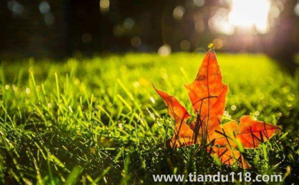 2023夏天有多熱冬天就有多冷是真的嗎(2022年到2023年是寒冬年嗎)(圖2) 夏天有多熱冬天就有多冷是真的嗎20232