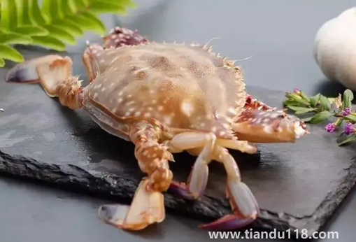 梭子蟹買回來(lái)沒(méi)多久就死了可以吃嗎2