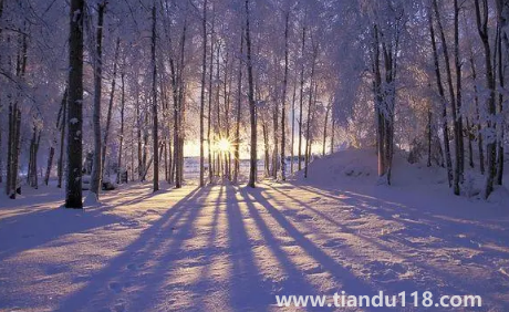 2022到2023年冬天會是暖冬嗎3