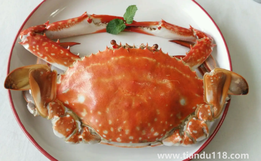 梭子蟹能放零度保鮮嗎2