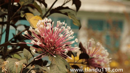 2022國(guó)慶去西雙版納冷了嗎2