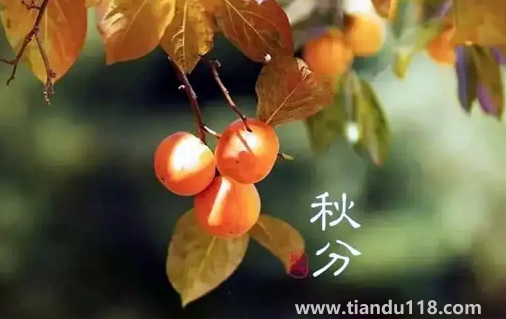 2022年秋分節(jié)氣在南方熱不熱3