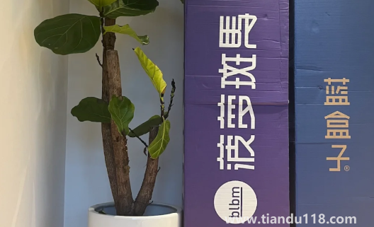 藍(lán)盒子和菠蘿斑馬哪個(gè)好（藍(lán)盒子和菠蘿斑馬床墊的優(yōu)勢）