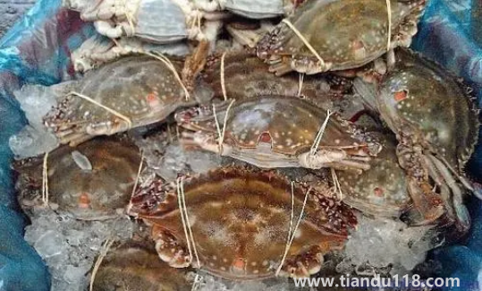 梭子蟹為什么有柴油味3