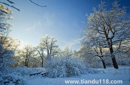 2023年冬季預(yù)測冷還是暖(2023年的冬天還會(huì)冷嗎)(圖3) 2023年冬季預(yù)測冷還是暖3