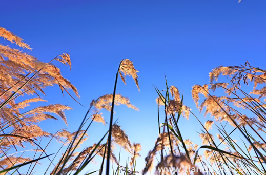 2022國(guó)慶節(jié)會(huì)有冷空氣嗎1