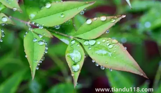 2022深圳10月份雨水多嗎3
