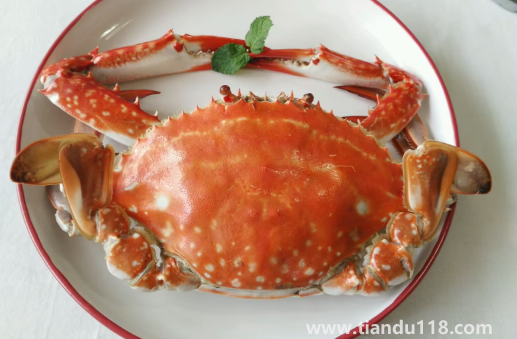 青蟹和梭子蟹哪個(gè)更寒(青蟹和梭子蟹哪個(gè)好吃) 青蟹和梭子蟹哪個(gè)更寒(青蟹和梭子蟹哪個(gè)好吃)