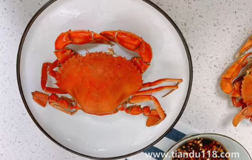青蟹和梭子蟹哪個(gè)更好吃(青蟹和梭子蟹哪個(gè)貴) 青蟹和梭子蟹哪個(gè)更好吃(青蟹和梭子蟹哪個(gè)貴)