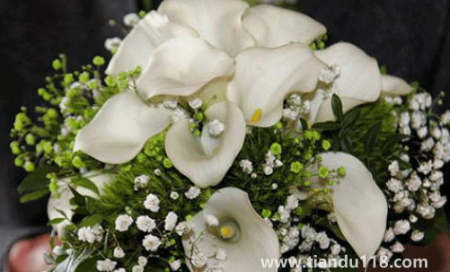 男方娶親當(dāng)天手捧花必須要準(zhǔn)備嗎(男方娶親當(dāng)天要注意什么)(圖3) 男方娶親當(dāng)天手捧花必須要準(zhǔn)備嗎3