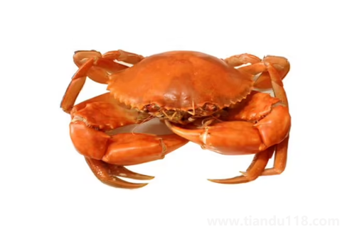 青蟹什么時候最肥最好吃2