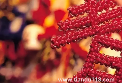 2023年春節(jié)會比2022年春節(jié)冷還是熱(2023年春節(jié)溫度高還是低)(圖3) 2023年春節(jié)會比2022年春節(jié)冷還是熱3