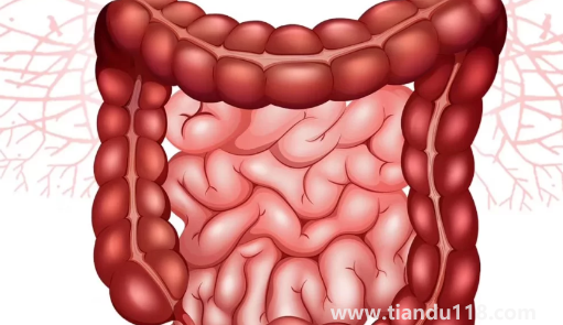 只需一片姜排出4斤宿便真的假的(肚子有宿便自己可以摸出來(lái)嗎)(圖2) 只需一片姜排出4斤宿便真的假的2
