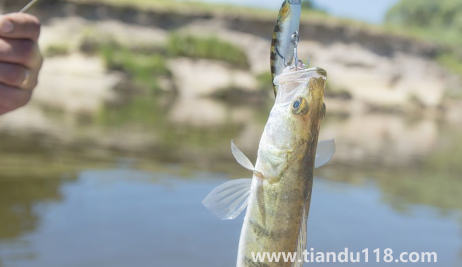 2022北京冬至的溫度一般是多少攝氏度2