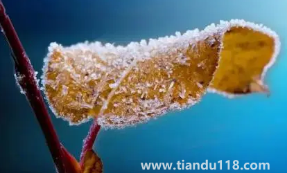 2022年霜降會提前嗎2