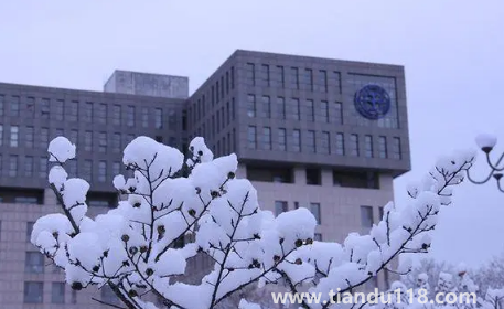 11月去北京玩五天是固定一個酒店好嗎1