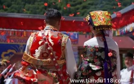 兩口子能一起送親嗎2