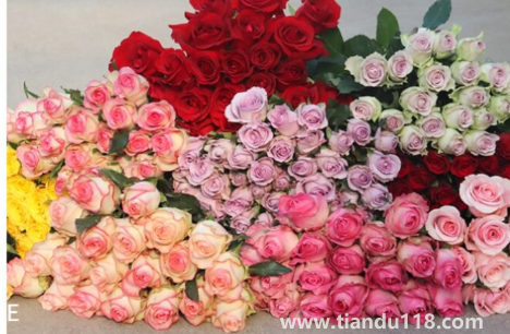 網上買的鮮花醒花后需要再剪根部嗎2