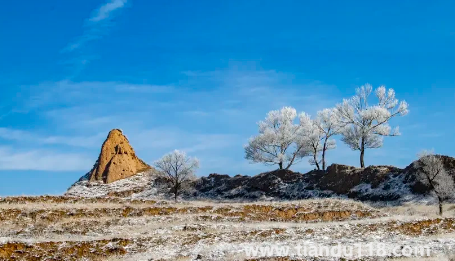 2022小雪這天下雪好還是晴天好3