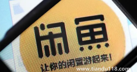 閑魚(yú)小法庭9票是不是贏了3