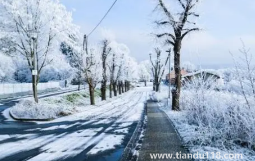 今年三九是最冷的時候嗎20232