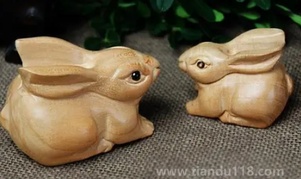 家里放置兔子影響主人運(yùn)氣嗎（兔子在風(fēng)水上有何寓意）